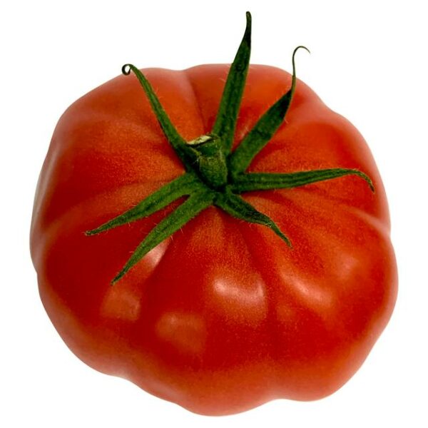 Beef Tomato