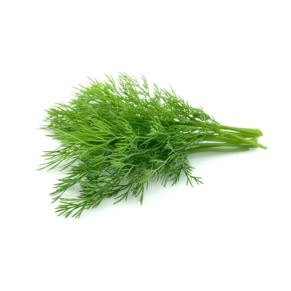 Dill