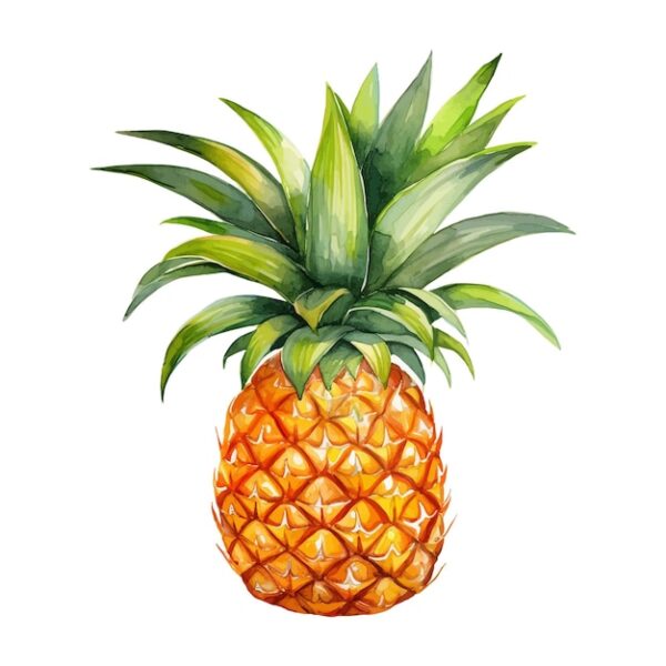 Pineapple